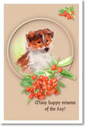 collie_puppy_card.jpg